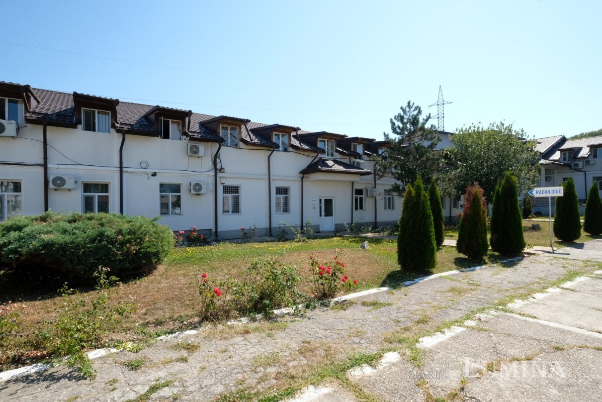 Pâinea cea de toate zilele 371951