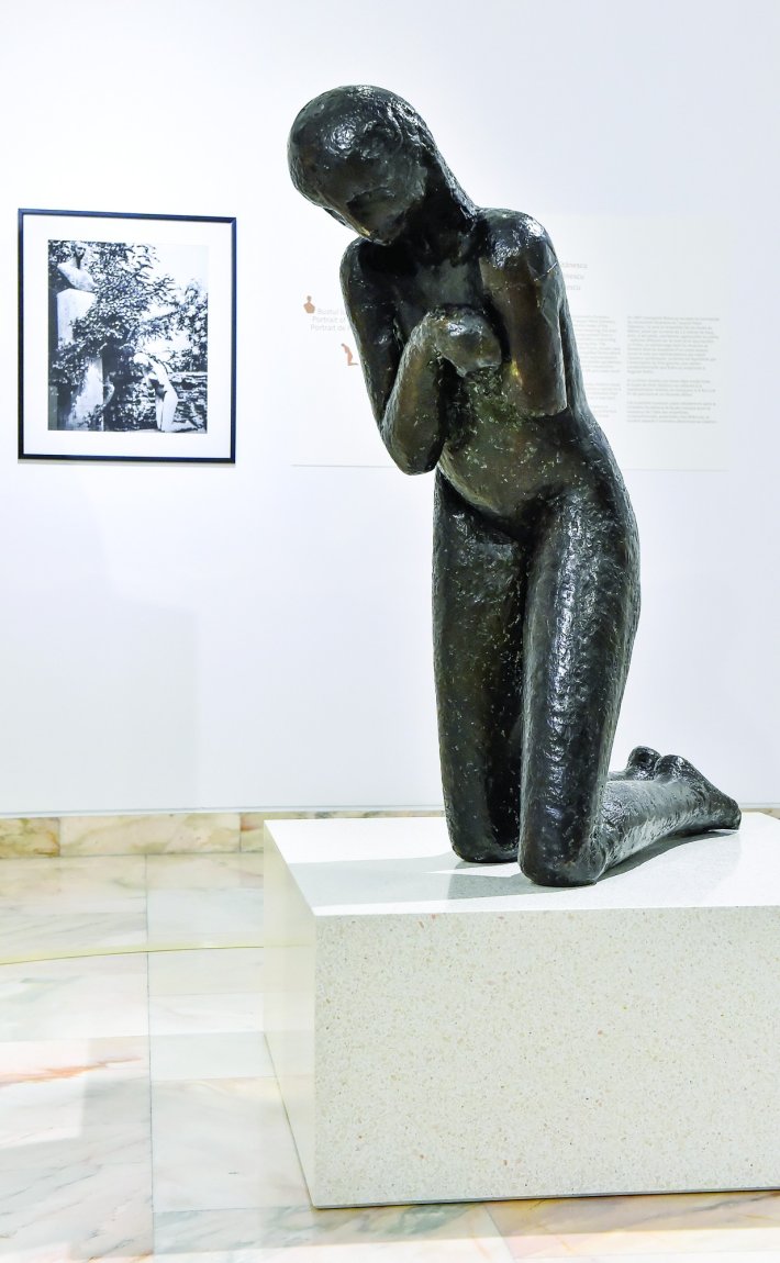 Constantin Brâncuşi, sculptor of metaphor