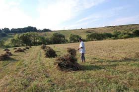 Milioane de euro pentru promovarea Programului Naţional de Dezvoltare Rurală Poza 94916