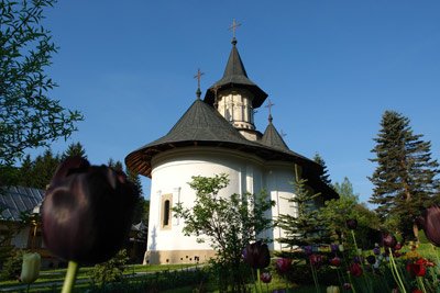 Mănăstirea Sihăstria, perlă a isihasmului românesc Poza 95254