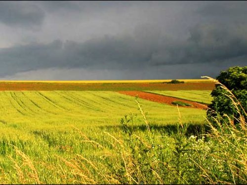 Fondurile pentru agricultură cheltuite neregulamentar se întorc la bugetul Uniunii Poza 97242