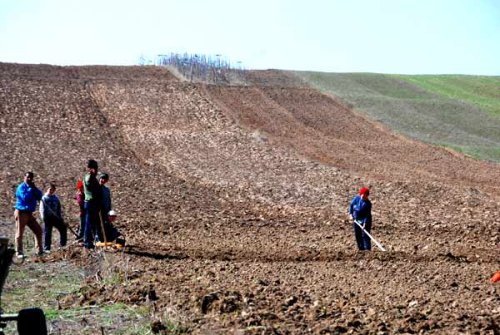 Criteriile de acordare a subvenţiilor agricole ar putea fi revizuite Poza 98067