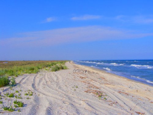 Plajele litoralului românesc, în pericol de dispariţie Poza 98148