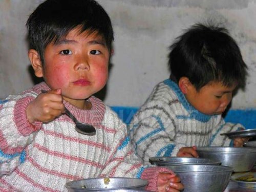 Coreea de Nord riscă să se confrunte cu o foamete catastrofală Poza 98311