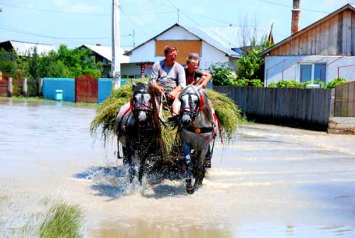 Inundaţiile au afectat grav infrastructura rurală Poza 99040