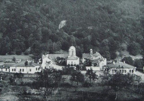 Mănăstirea Cozia la 1900 Poza 102458