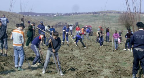 „Prietenii naturii“, în parohia Buzeni Poza 104675