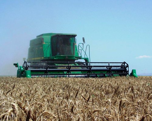 Ministrul Agriculturii: „Preţul la cereale va fi ridicat“ Poza 107113