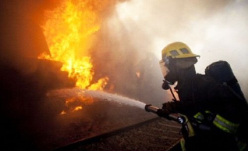 Incendiu în rezervaţia Delta Dunării Poza 108016