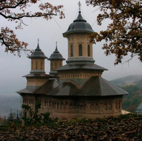 Sinaxă la Mănăstirea Nicula Poza 108399