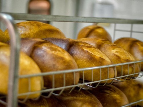 Producţie-record de grâu, dar pâinea nu se ieftineşte Poza 108693