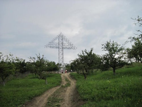 Manifestări religioase la Orleştii de Vâlcea Poza 108726