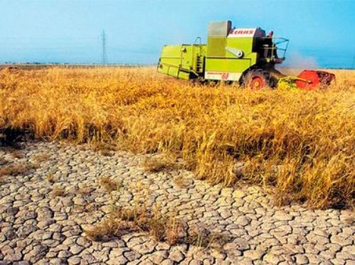 „România poate înregistra pierderi agricole în 2012“ Poza 108739