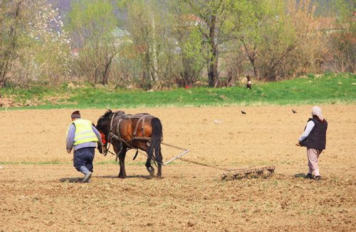 România încă nu are o strategie agricolă Poza 92283