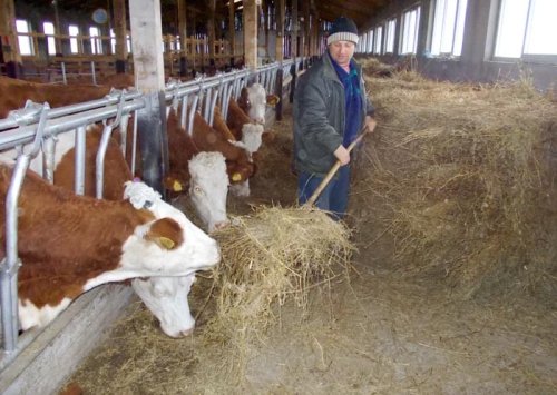 A fi tânăr fermier este un act de curaj Poza 93420