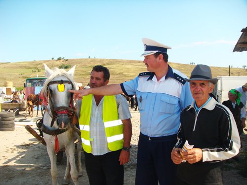 Mai mulţi poliţişti în mediul rural Poza 90650