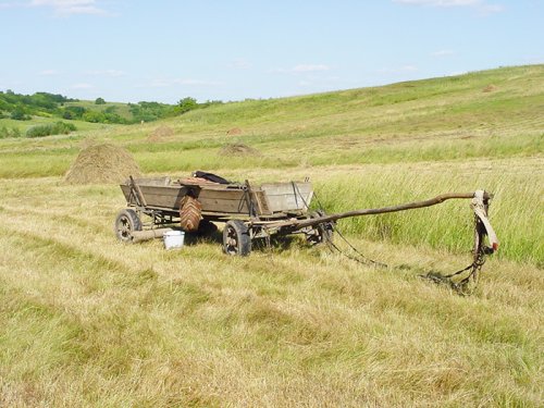 Civilizaţia rurală, în pericol de dispariţie Poza 90891