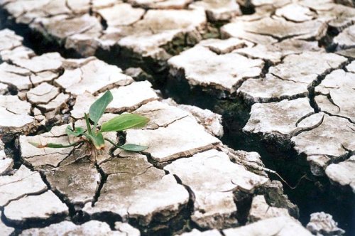 România nu va fi ocolită de criza alimentară Poza 89128