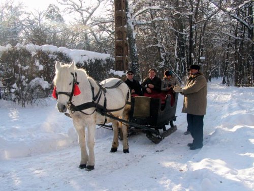 Târg de Ignat şi plimbări cu sania trasă de cai la Muzeul ASTRA Poza 88519
