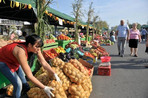 Aproape jumătate dintre români şi-ar dori o afacere proprie Poza 88896