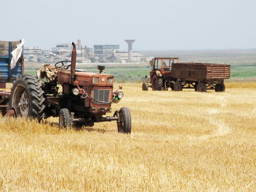 Sprijinirea tinerilor, esenţială în producţia agricolă a României Poza 87674