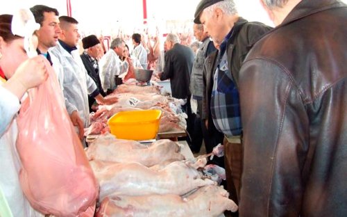 Crescătorii anunţă 25 de lei pe kilogramul de carne de miel Poza 86738