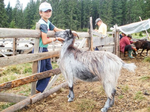 50 milioane de euro pentru 1.000 de ferme familiale Poza 86299