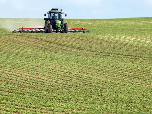 Cumpărarea de teren agricol de către cetăţeni străini ar putea fi limitată Poza 85237