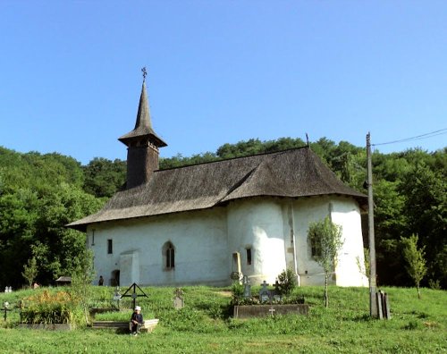 Sfântul Voievod Ştefan cel Mare, cinstit de clujeni Poza 85098