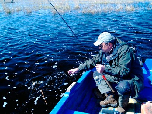 Lacuri şi bălţi pentru pescarii amatori din zona Bucureştiului Poza 84747