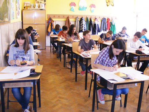 „Evaluarea elevilor se va face o dată la doi ani“ Poza 84177