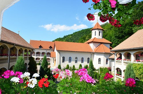 Tabere de vară pentru tineri în Arhiepiscopia Alba Iuliei Poza 84155