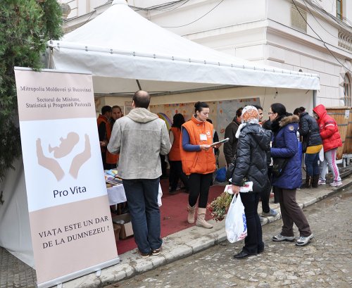 Stand în curtea Mitropoliei pentru promovarea Departamentului Pro Vita Poza 83191