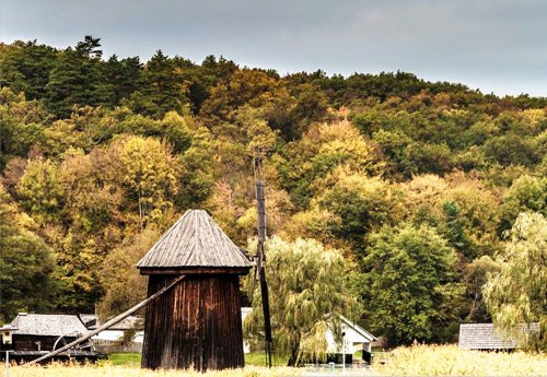 Proiectul „CultTour“, la Astra Sibiu Poza 82272