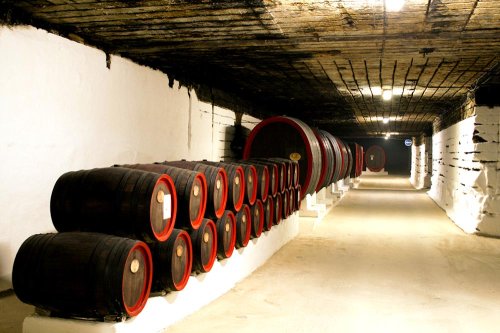 Piaţa europeană, deschisă total vinurilor moldoveneşti Poza 81837