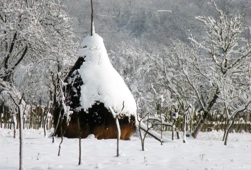 Zăpada a venit la timp pentru agricultură Poza 81182