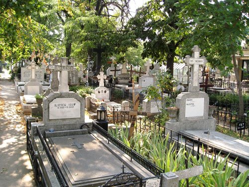 Au fost organizate noi cimitire în Arhiepiscopia Bucureştilor Poza 80715