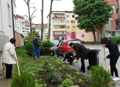 Ziua Europeană a Curăţeniei, marcată de persoanele cu dizabilităţi din Alba Iulia Poza 79349