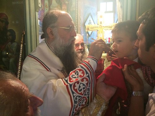 Sfinte Liturghii arhiereşti în Arhiepiscopia Râmnicului Poza 78502