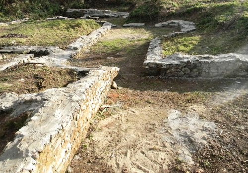 S-a descoperit un castru roman în Valea Almăjului Poza 77630