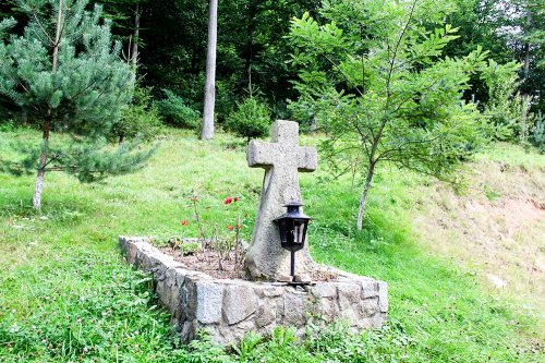 Despre Crucea lui Hristos şi crucile noastre Poza 76844