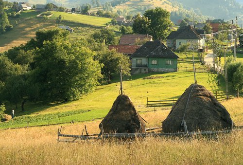 Tot mai mulţi străini sunt atraşi de ecoturism în România Poza 76299