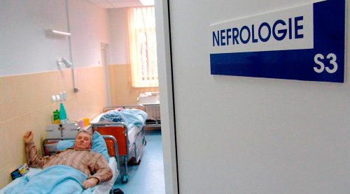 Înfiinţarea medicinei de transplant, o necesitate Poza 75417