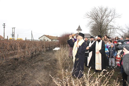 Sfântul Mucenic Trifon, sărbătorit în judeţul Galaţi Poza 74114