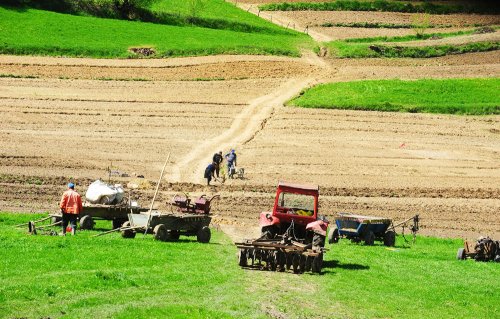 Calendarul agricultorului pentru luna martie Poza 73769