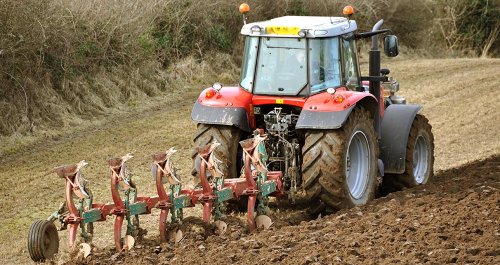 Măsuri de stimulare a agriculturii în noul Cod fiscal Poza 73722