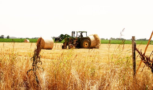 Se depun cererile de plată pentru anul 2015 Poza 72644