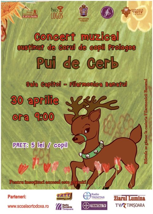 Concert muzical Poza 72593