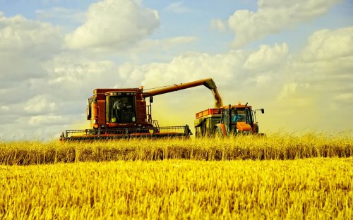 Bani pentru investiții în agricultura românească Poza 71796