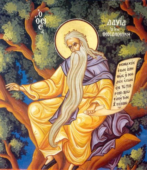 Sf. Cuv. David din Tesalonic; Sf. Ier. Ioan, Episcopul Goţiei Poza 71195